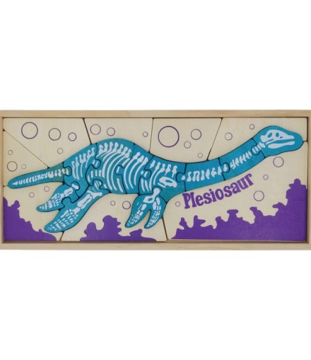 Dino Skeleton Puzzles - Double Sided Dinosaur Fun