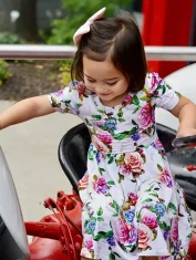 Wild Rose Short Sleeve Twirl Dress 2 Wild Rose Short Sleeve Twirl Dress 2