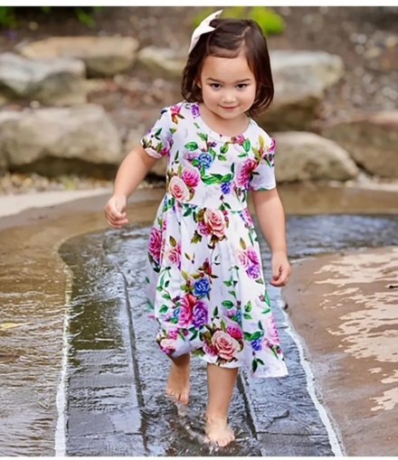 Wild Rose Short Sleeve Twirl Dress